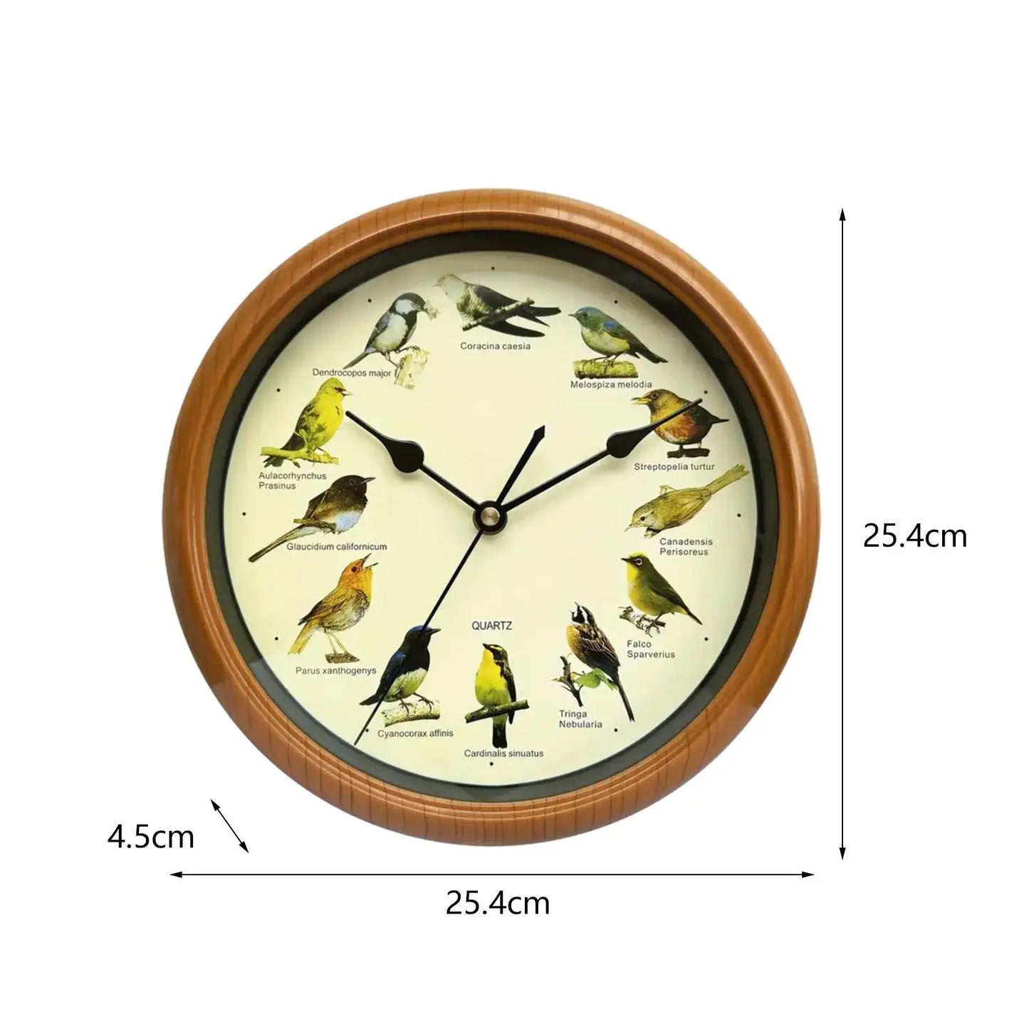 Horloge Murale | Motif Oiseau Décorative | Oiseau Décoratif | Ava
