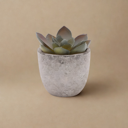 Plante Artificielle l Mini Plante Maison l Alora